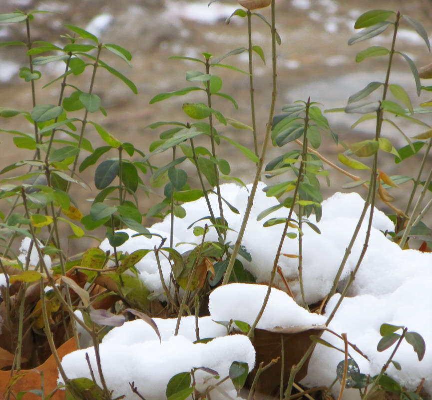 ������������� ����� ����� ������� �� PhotoGeek.ru #������ ��� ������� #����� �������������� #��������� #����� ��������