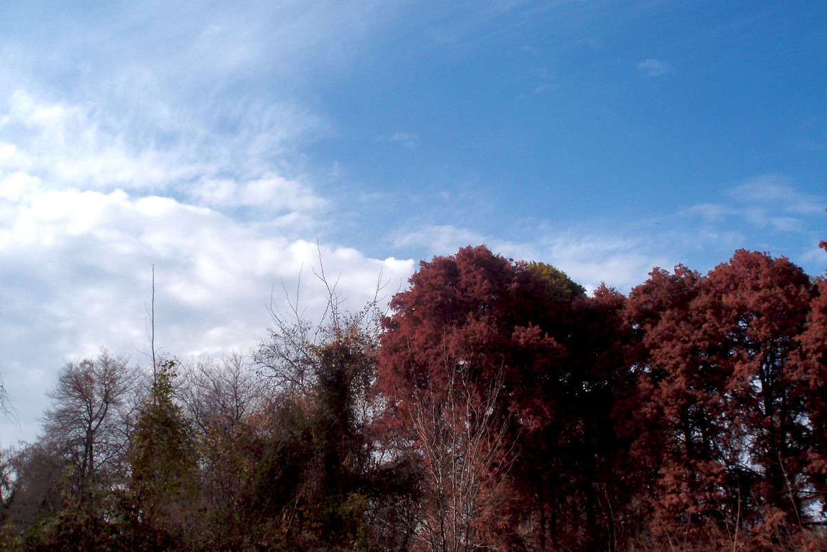 ˸���� ������ ����� ����� ������� �� PhotoGeek.ru #������ ��� ������� #���������