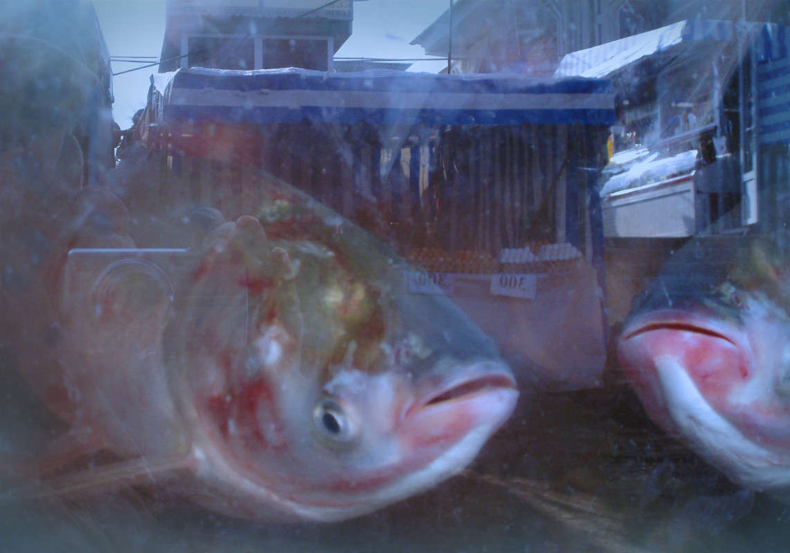 ���� �����? ����� ����� ������� �� PhotoGeek.ru #�������� ���������� #���������������