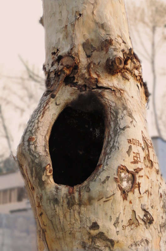 ��������... ����� ����� ������� �� PhotoGeek.ru #������ ��� ������� #����� ��������������