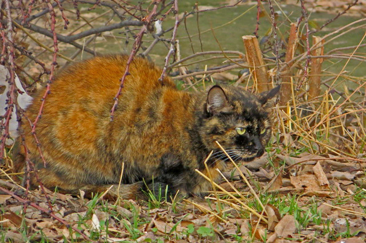 ������� ����� ����� ������� �� PhotoGeek.ru #�������� ���