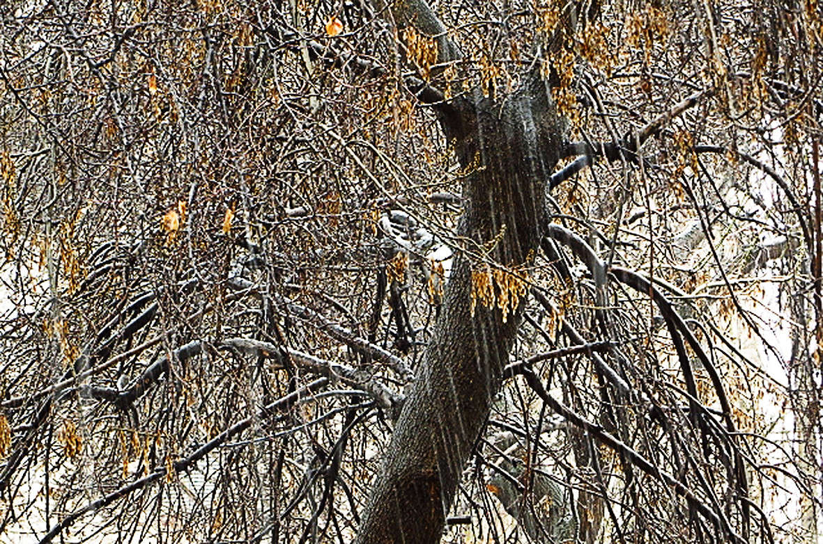 �����, �����������... ����� ����� ������� �� PhotoGeek.ru #������ ��� ������� #����� ��������������