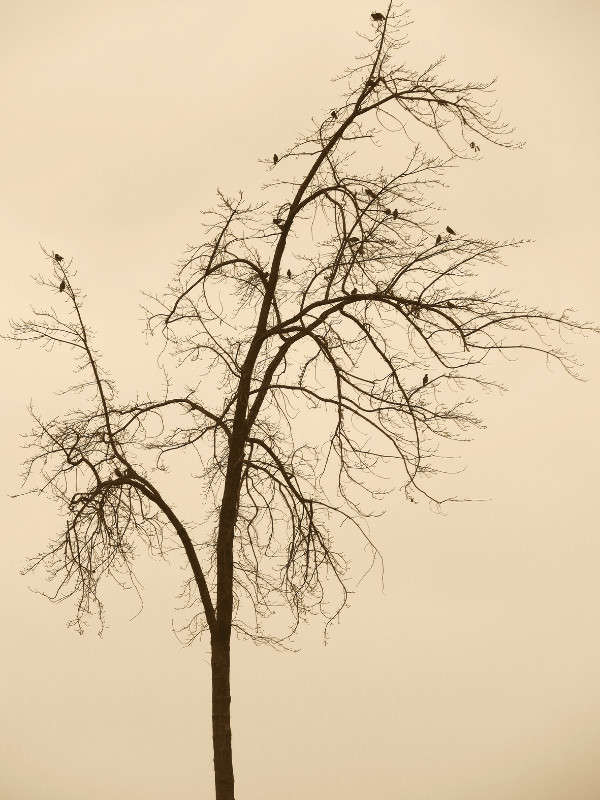 ������� ����� ����� ������� �� PhotoGeek.ru #������ ��� ������� #����� ��������������