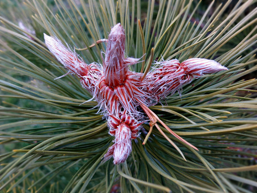 ������������ ���� ����� ����� ������� �� PhotoGeek.ru #������ ��� ������� #����� ��������������