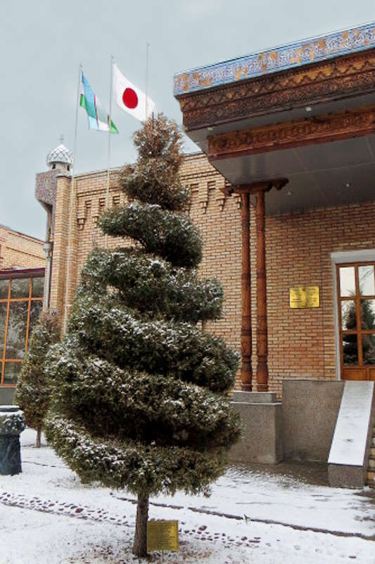 �������-����� �������� ����� ����� ������� �� PhotoGeek.ru #����� #������ ��������