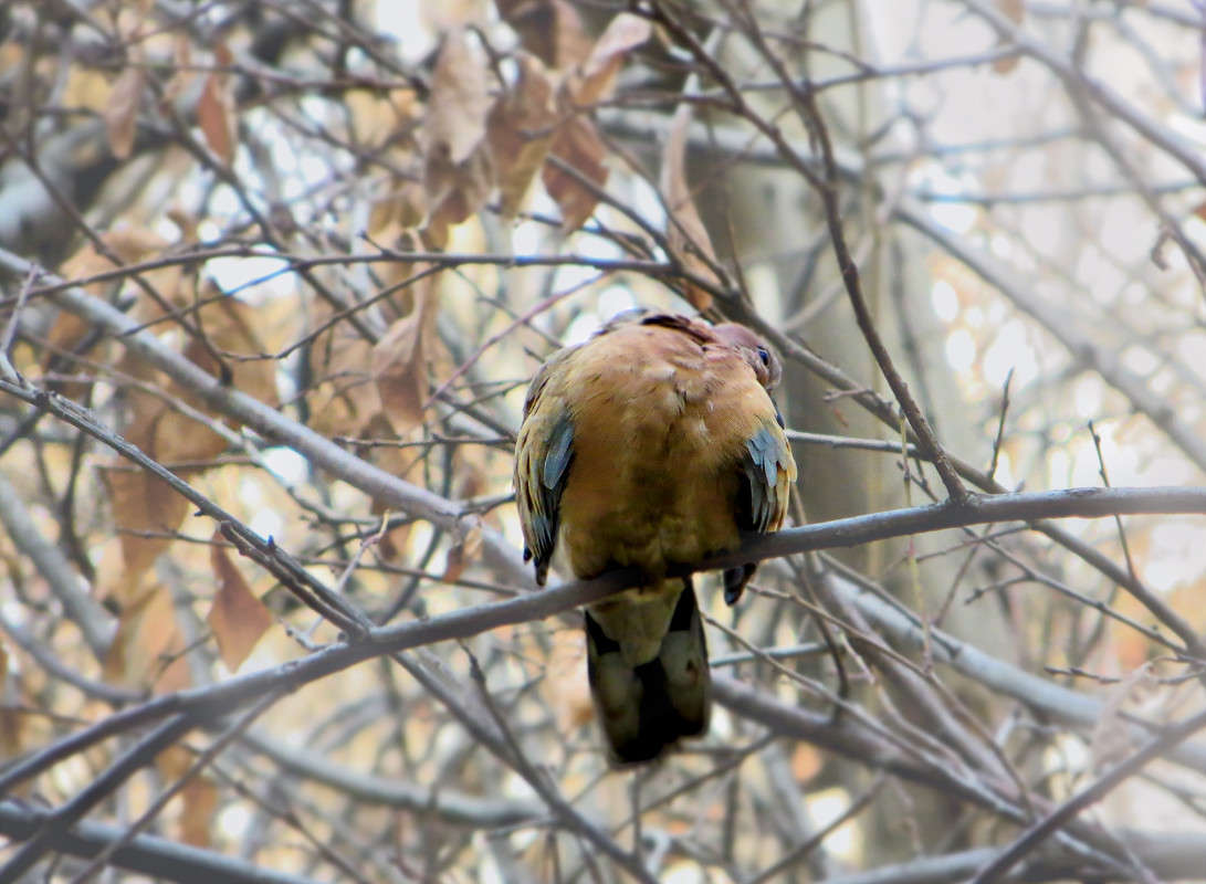 � ��������! ����� ����� ������� �� PhotoGeek.ru #�������� ��� #����� ��� ��� ���������