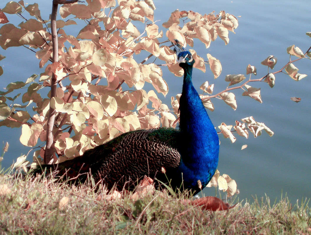 ������ �� �������� ����� ����� ������� �� PhotoGeek.ru #�������� ��� #�������� ��� #�����