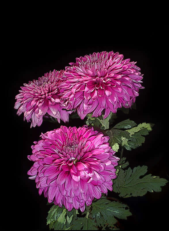 ...� ������� ������... ����� ����� ������� �� PhotoGeek.ru #������ ��� ������� #�����