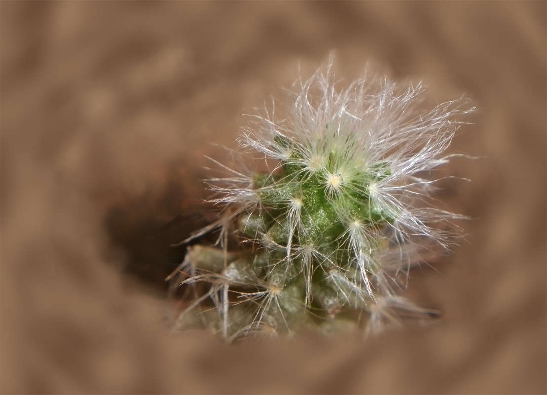 ��� �������� ����� ����� ������� �� PhotoGeek.ru #����� #����� ��������������