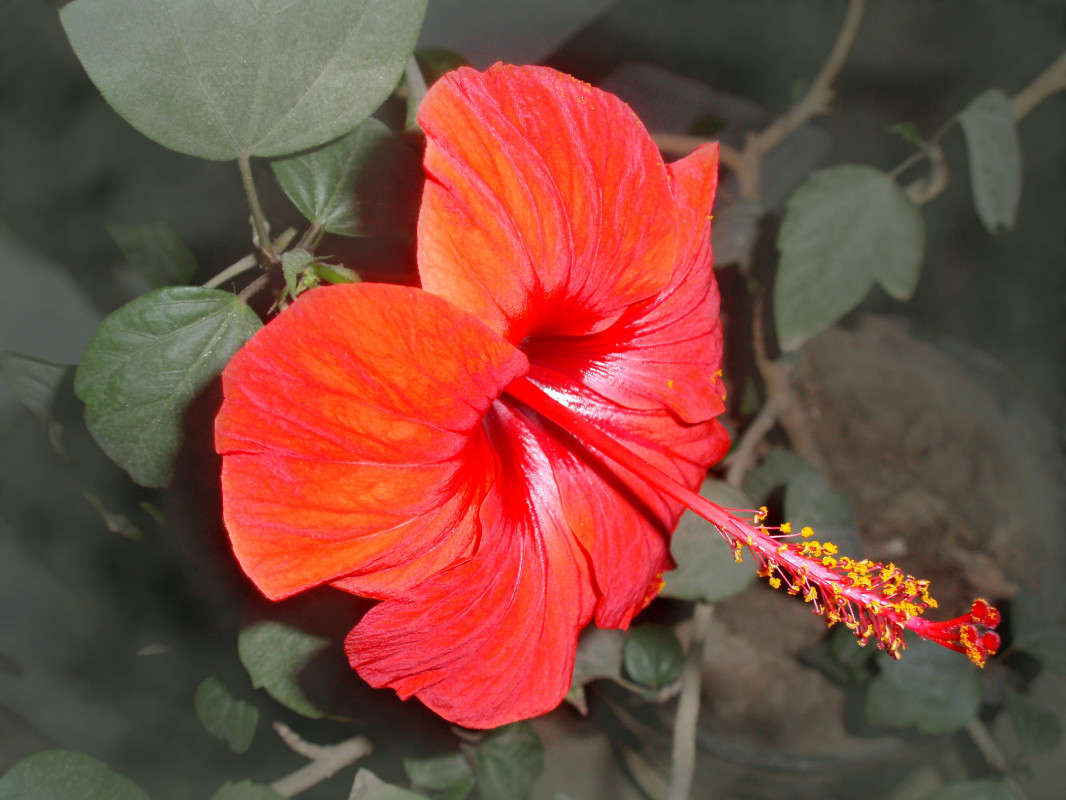 ���������, �� � ���? ����� ����� ������� �� PhotoGeek.ru #����� #����� ��������������