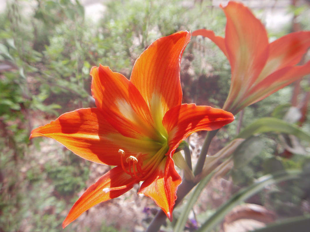 ���� ������ ����� ����� ������� �� PhotoGeek.ru #����� #����� ��������������