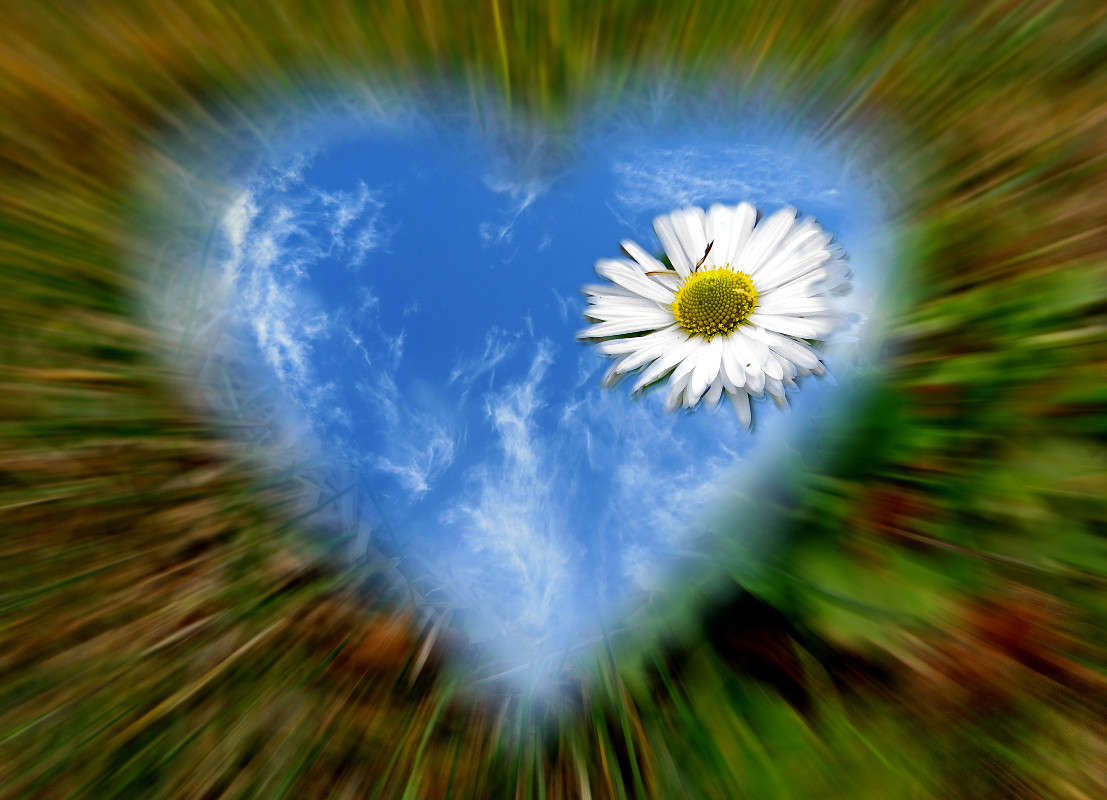 14 ������� ����� ����� ������� �� PhotoGeek.ru #������