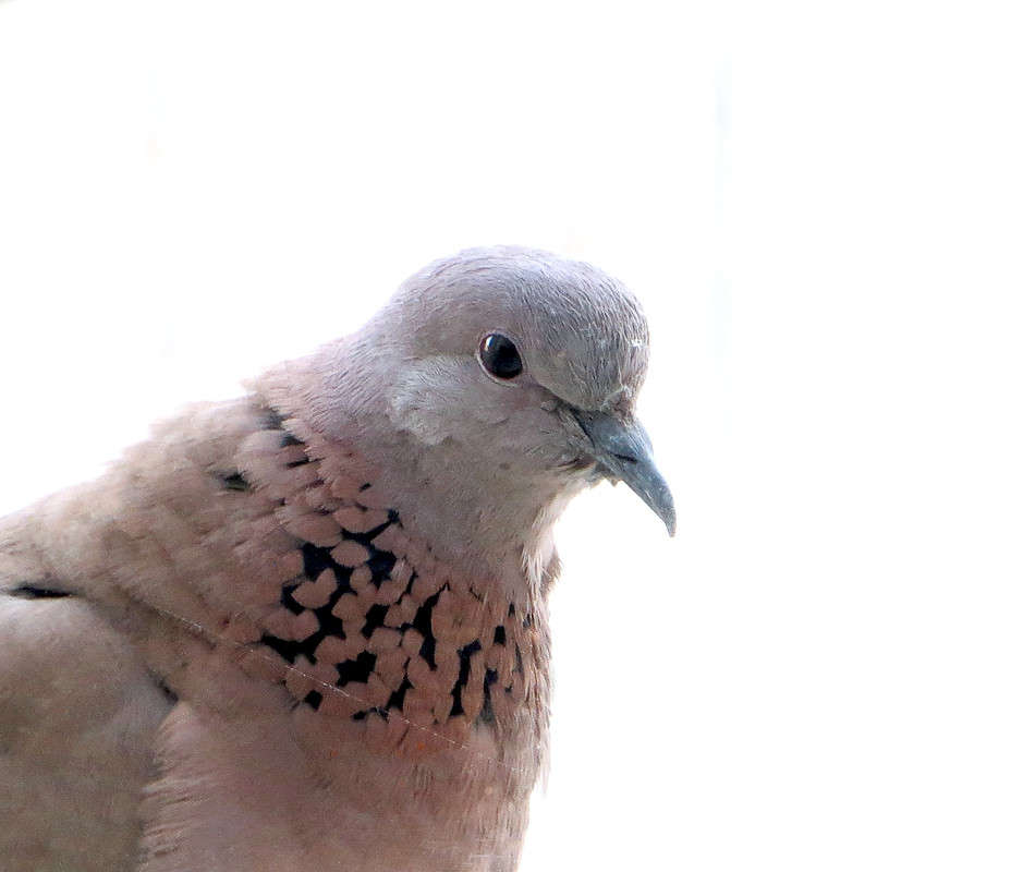 � �������� �����? ����� ����� ������� �� PhotoGeek.ru #�������� ��� #����� ��� ��� ��������� #�����