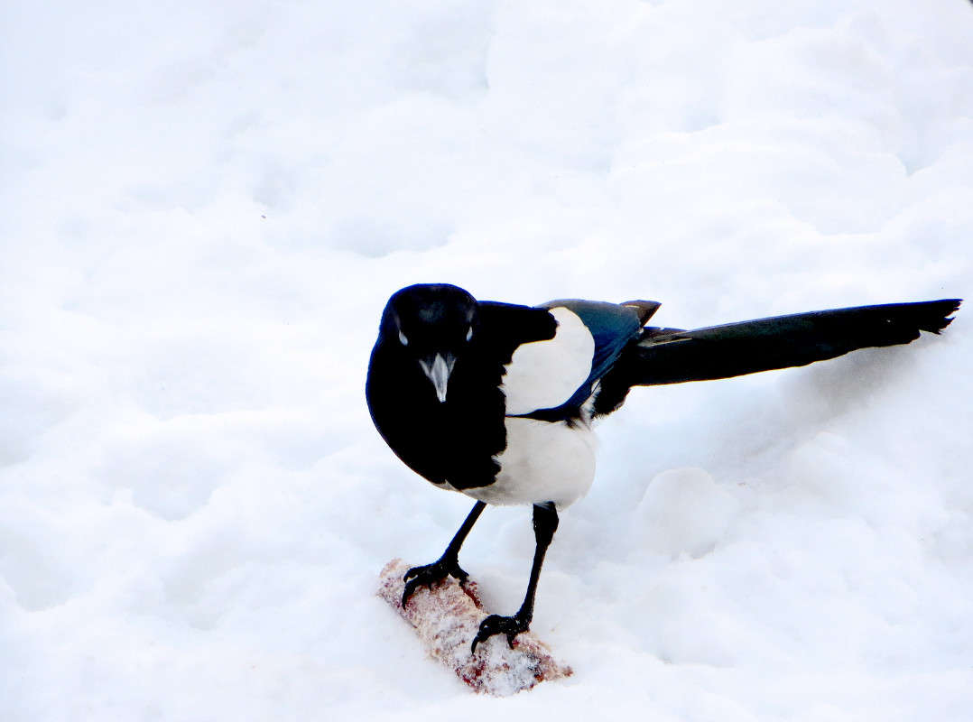 ��! ����� ����� ������� �� PhotoGeek.ru #�������� ��� #����� ��� ��� ���������