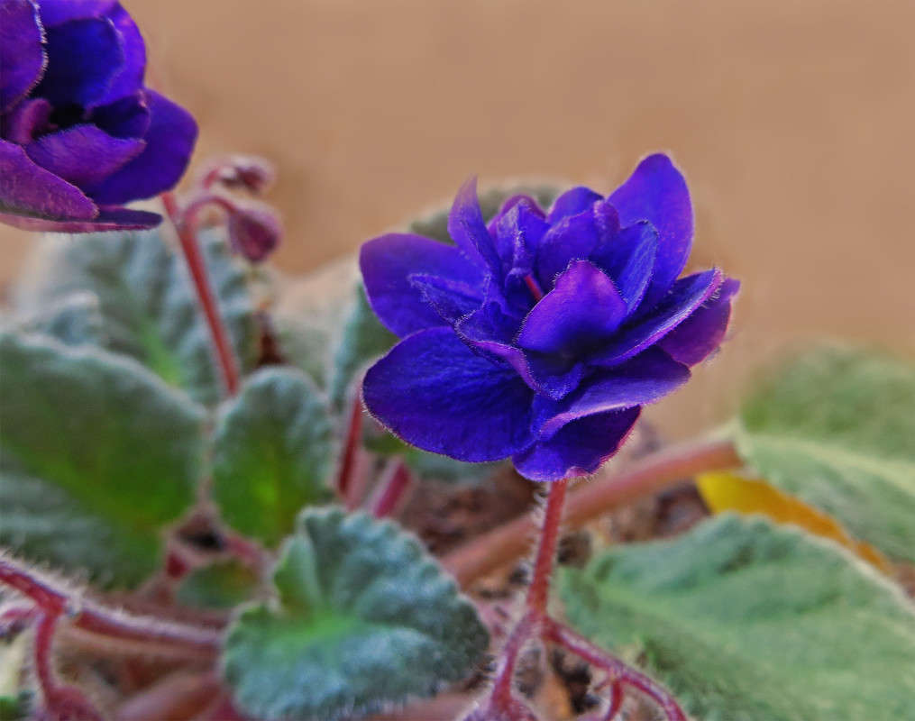 ������� �����! ����� ����� ������� �� PhotoGeek.ru #����� #����� �������������� #�����