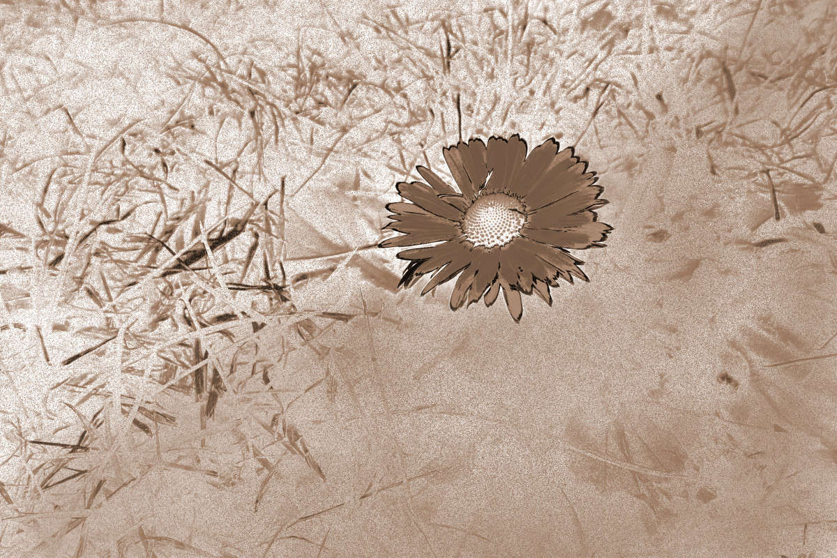 ����������� ���������� ����� ����� ������� �� PhotoGeek.ru #������ ��� ������� #���������