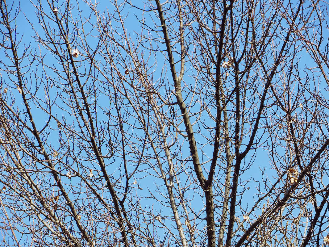 �� �������� �����, ������ ����� ����? ����� ����� ������� �� PhotoGeek.ru #������ ��� ������� #���������