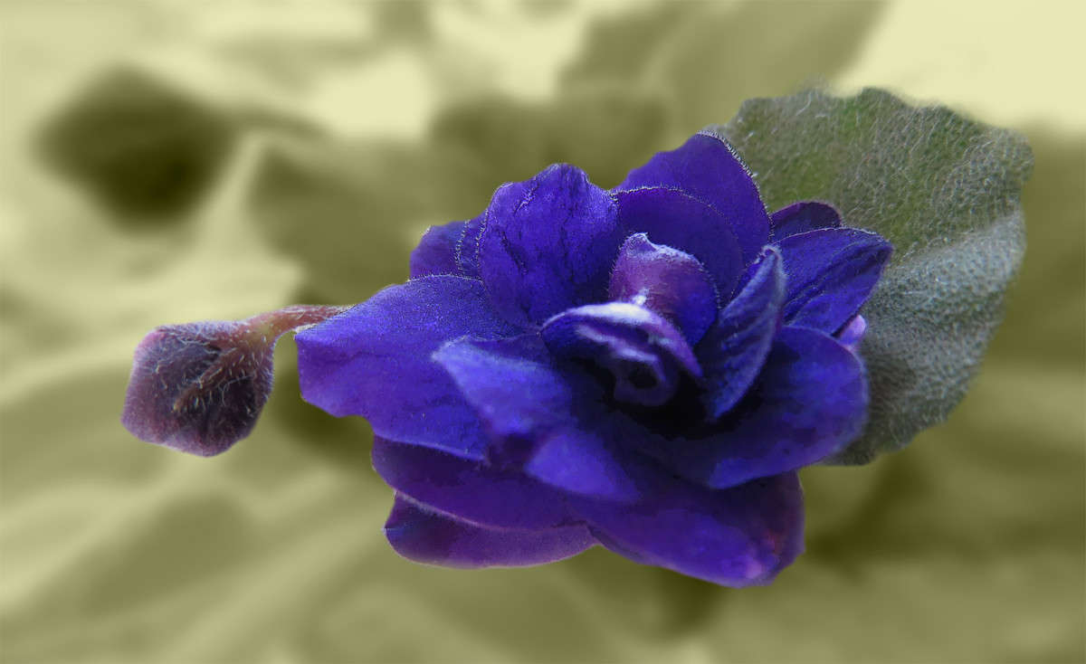 ����� ����� ����� ����� ������� �� PhotoGeek.ru #����� #������ ��� ������� #����� ��������������