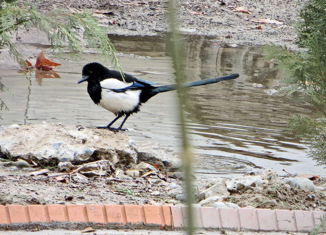 ��������� ����� 3 ����� ����� ������� �� PhotoGeek.ru #�������� ��� #����� ��� ��� ��������� #�����