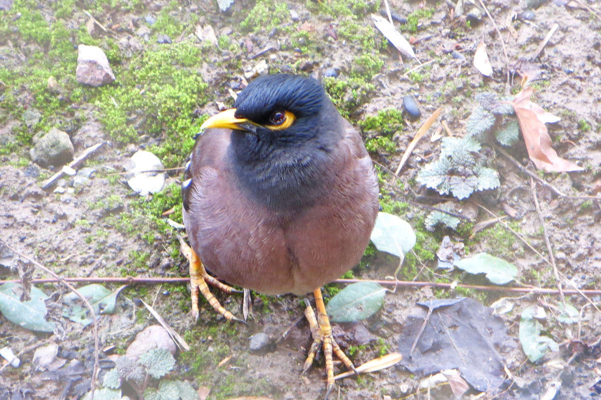 ������� ������� ����� ����� ������� �� PhotoGeek.ru #�������� ��� #����� ��� ��� ��������� #�����