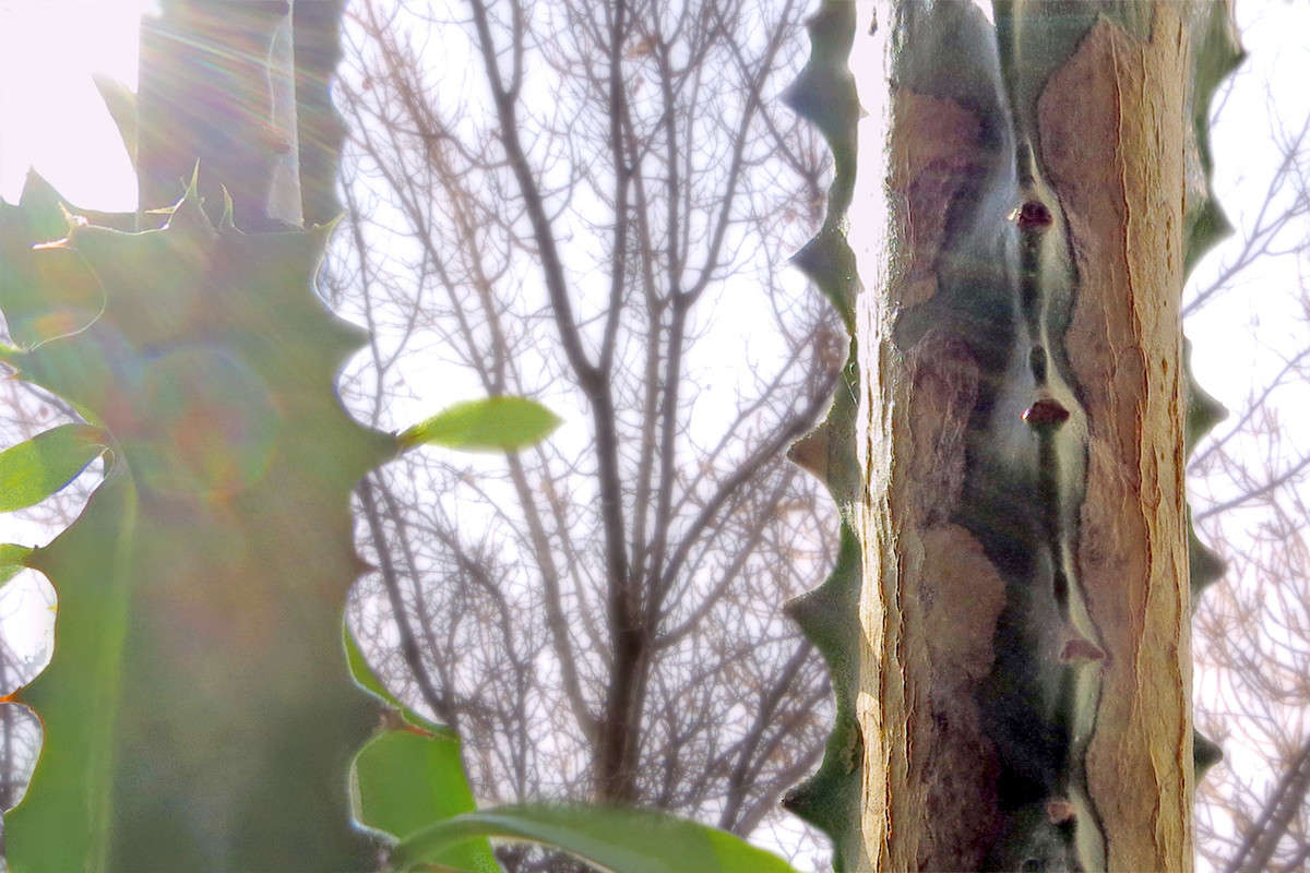 � �������� ����� ����� ����� ������� �� PhotoGeek.ru #������ ��� ������� #����� ��������������