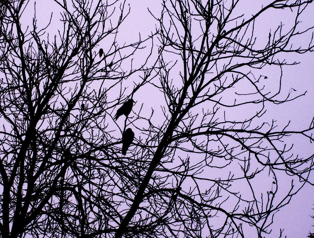 ����� ����� ����� ����� ������� �� PhotoGeek.ru #������ ��� ������� #���������