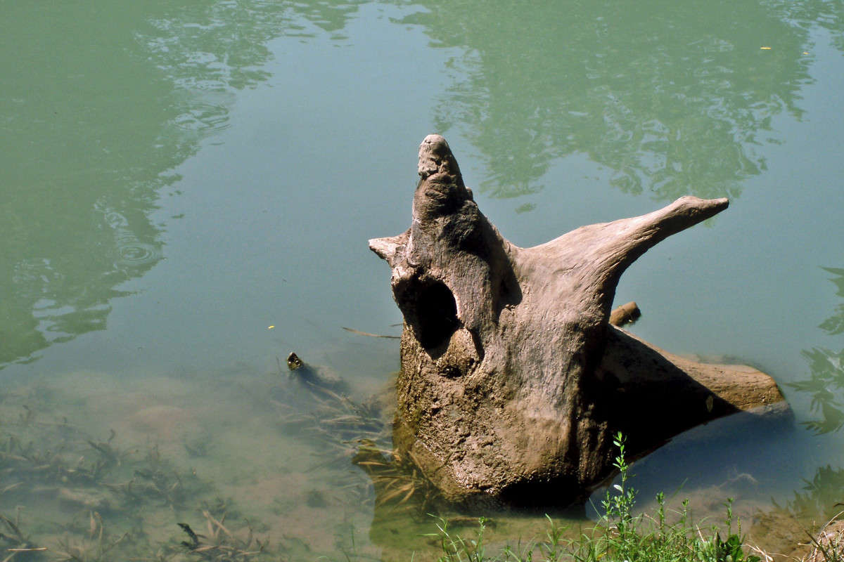 � ��� ������ � ���� ������ ����� ����� ������� �� PhotoGeek.ru #������ ��� ������� #���������