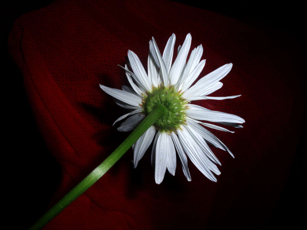 �����, ���������... ����� ����� ������� �� PhotoGeek.ru #������ ��� ������� #��������� #�����