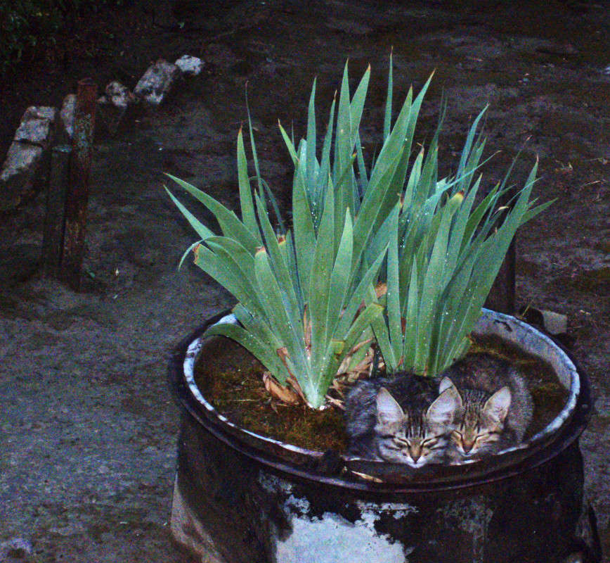 ������� ����� ����� ������� �� PhotoGeek.ru #�������� ��� #�������� ����������