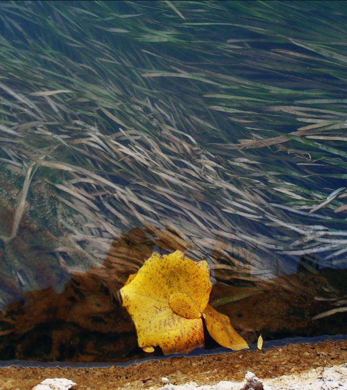 � ������ ����� ����� ������� �� PhotoGeek.ru #������ ��� ������� #���������