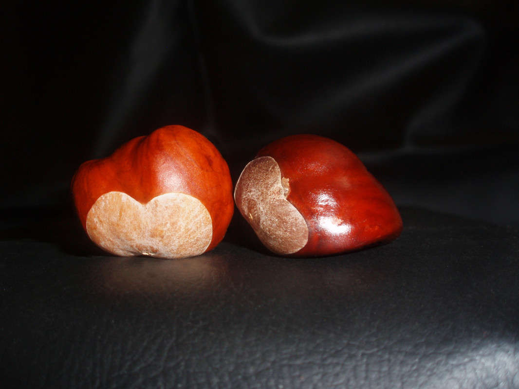 ����� � ����, ��-�������... ����� ����� ������� �� PhotoGeek.ru #��������� #�������������