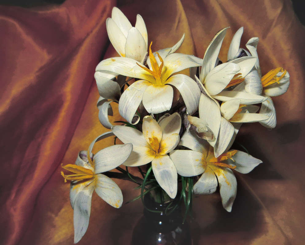 ����������� ����� ����� ������� �� PhotoGeek.ru #������ ��� ������� #�����