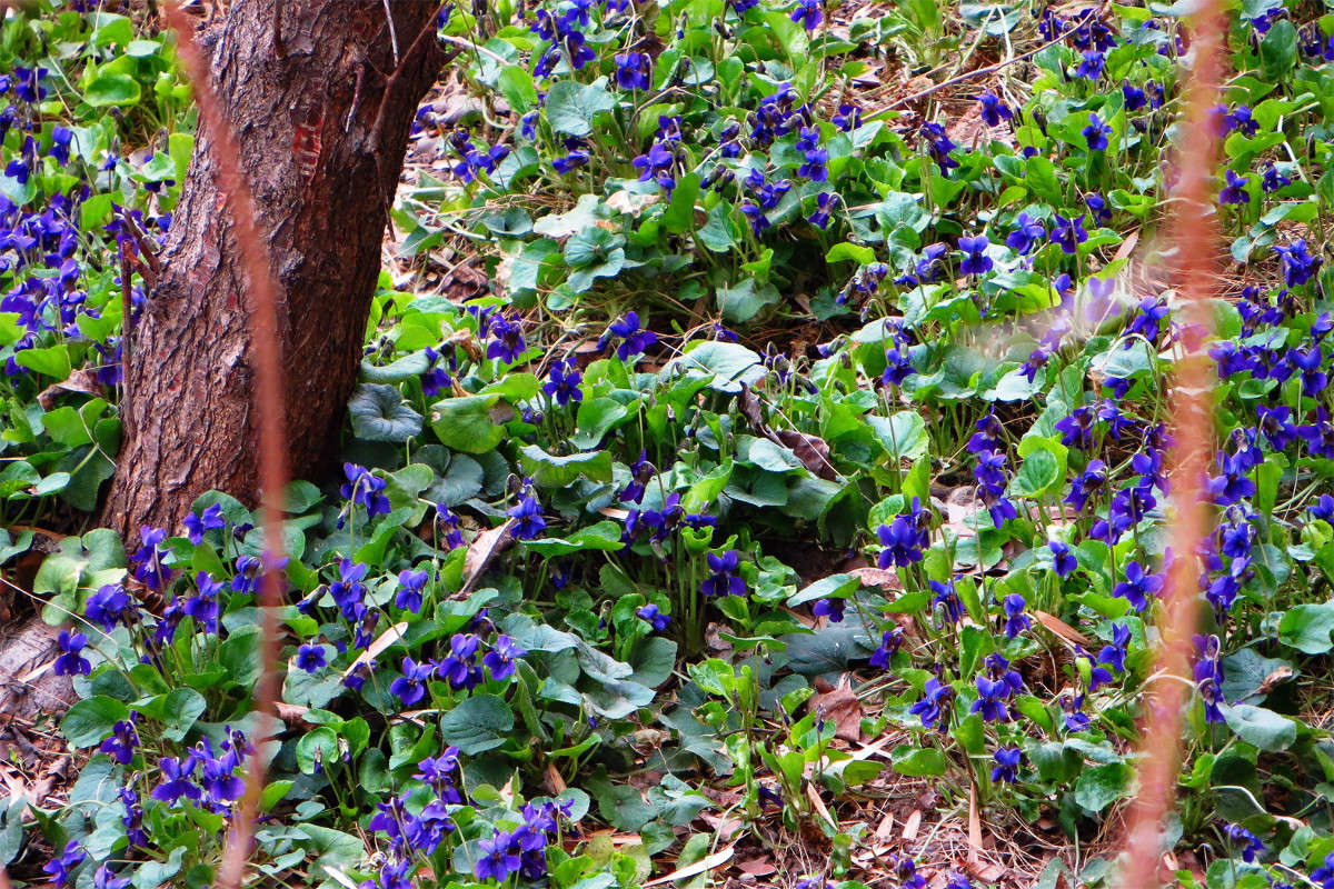 ������ �������� ����� ����� ������� �� PhotoGeek.ru #������ ��� ������� #����� �������������� #�����