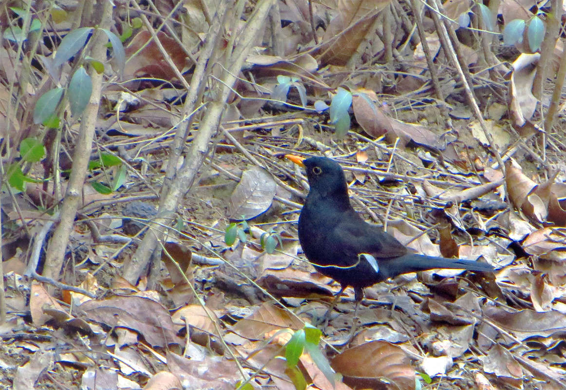 ����� ������ ����� ����� ������� �� PhotoGeek.ru #�������� ��� #����� ��� ��� ��������� #�����