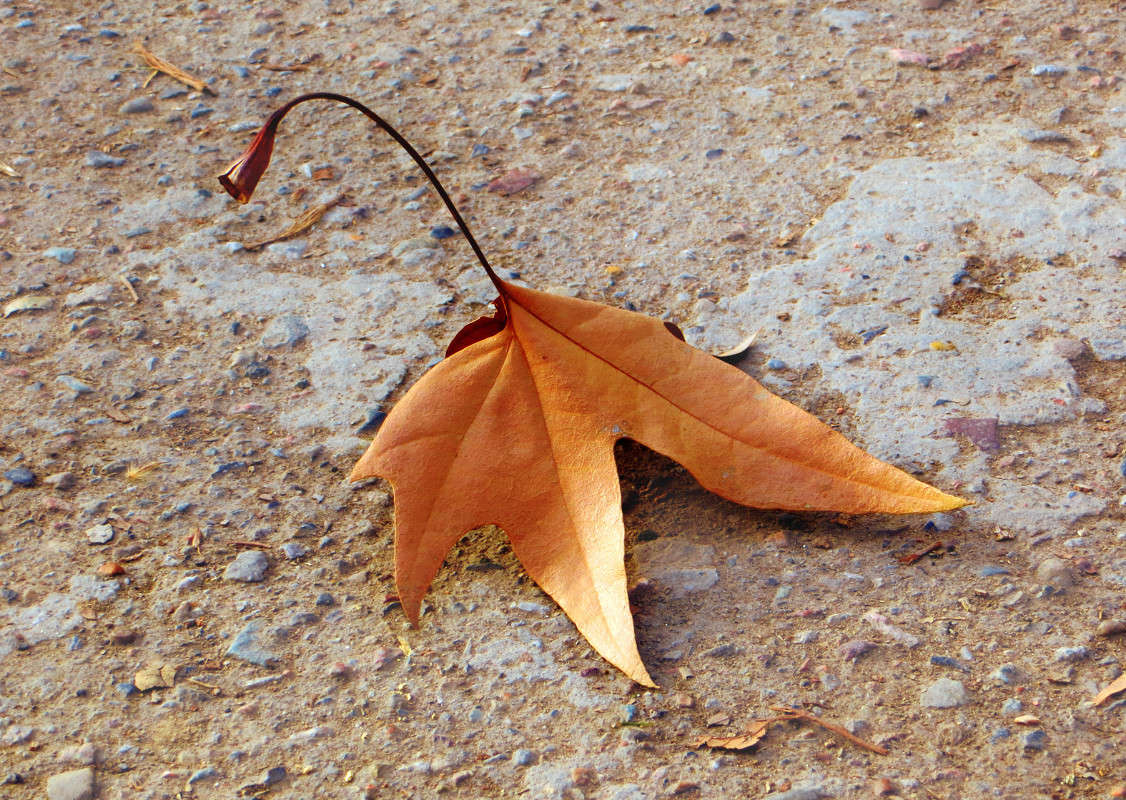 �������� �����, �������� ������� ������... ����� ����� ������� �� PhotoGeek.ru #������ ��� ������� #���������