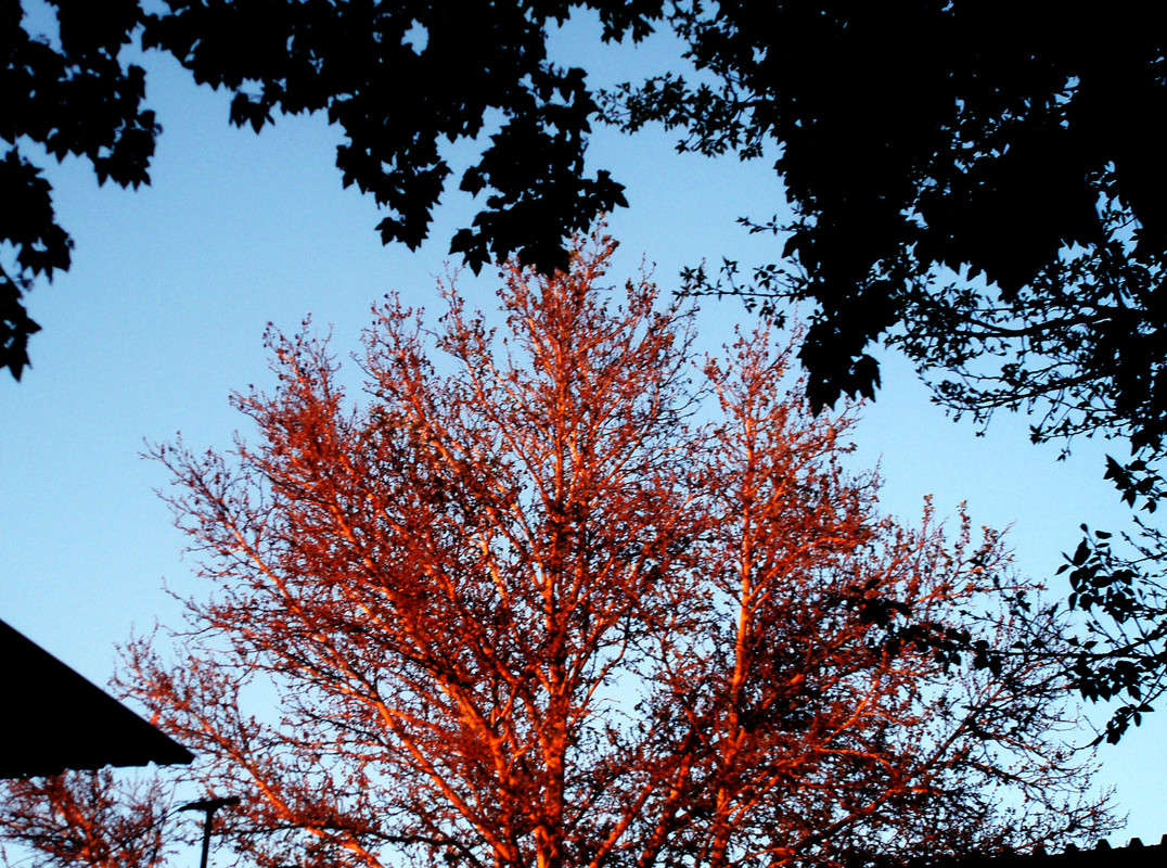 ��������� ��������� ����� ����� ������� �� PhotoGeek.ru #������ ��� ������� #���������