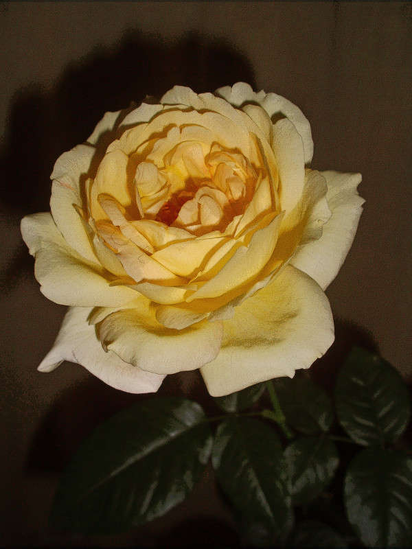 ��������,��� ���������... ����� ����� ������� �� PhotoGeek.ru #����� #����� �������������� #�����