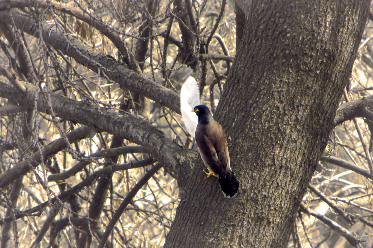 �� ��� ����, �� ��� �����! ����� ����� ������� �� PhotoGeek.ru #�������� ��� #����� ��� ��� ��������� #�����