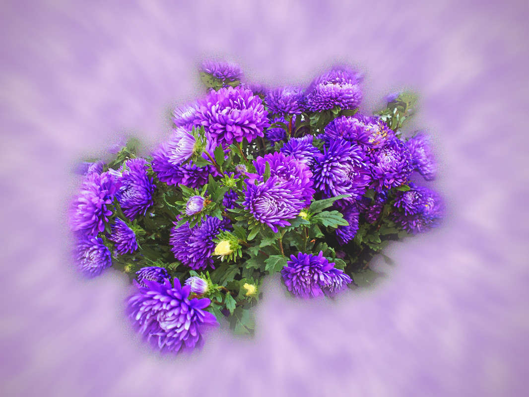 ������! �� �������! ����� ����� ������� �� PhotoGeek.ru #������ #������ ��� ������� #�����