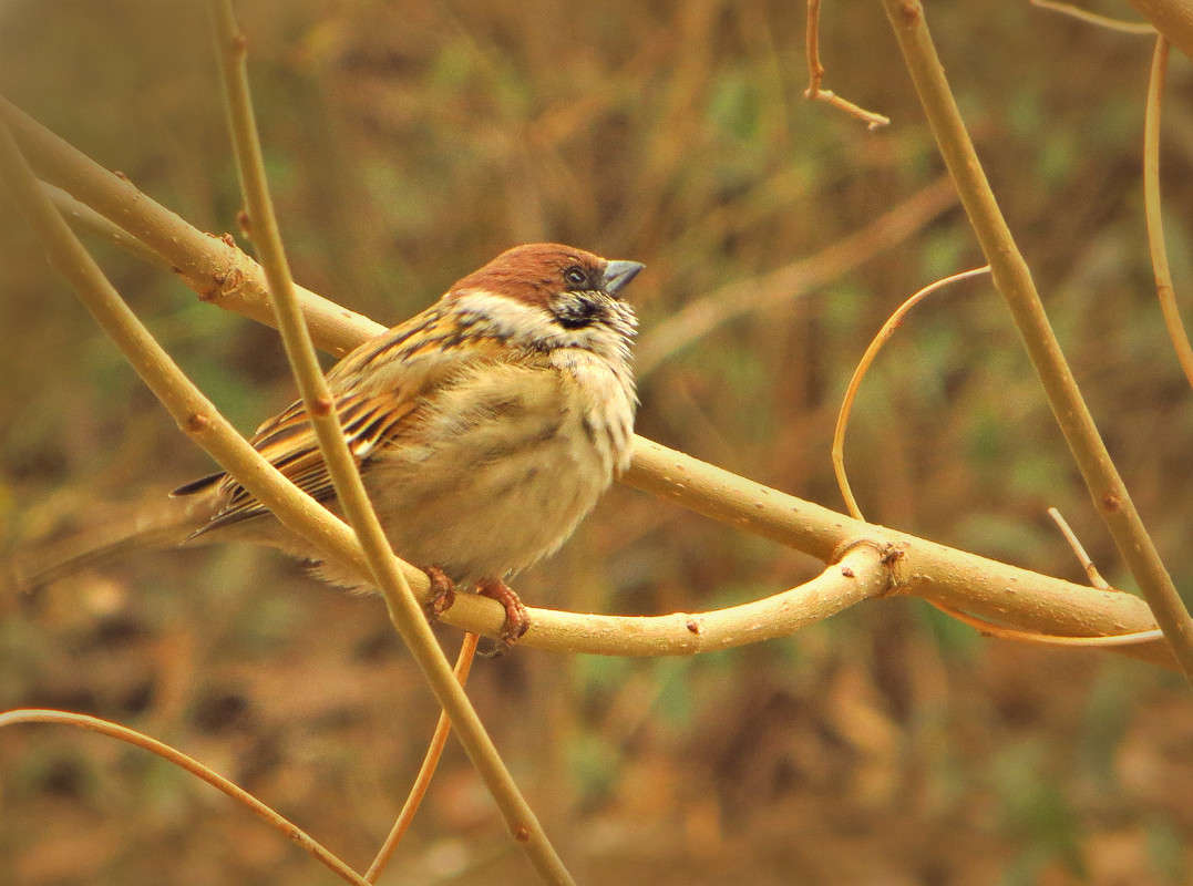 ���������. ����� ����� ������� �� PhotoGeek.ru #�������� ��� #����� ��� ��� ��������� #�����