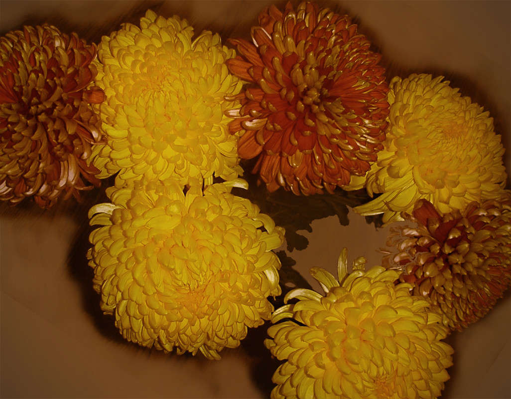 ����������� ������ ����� ����� ������� �� PhotoGeek.ru #������ ��� ������� #�����