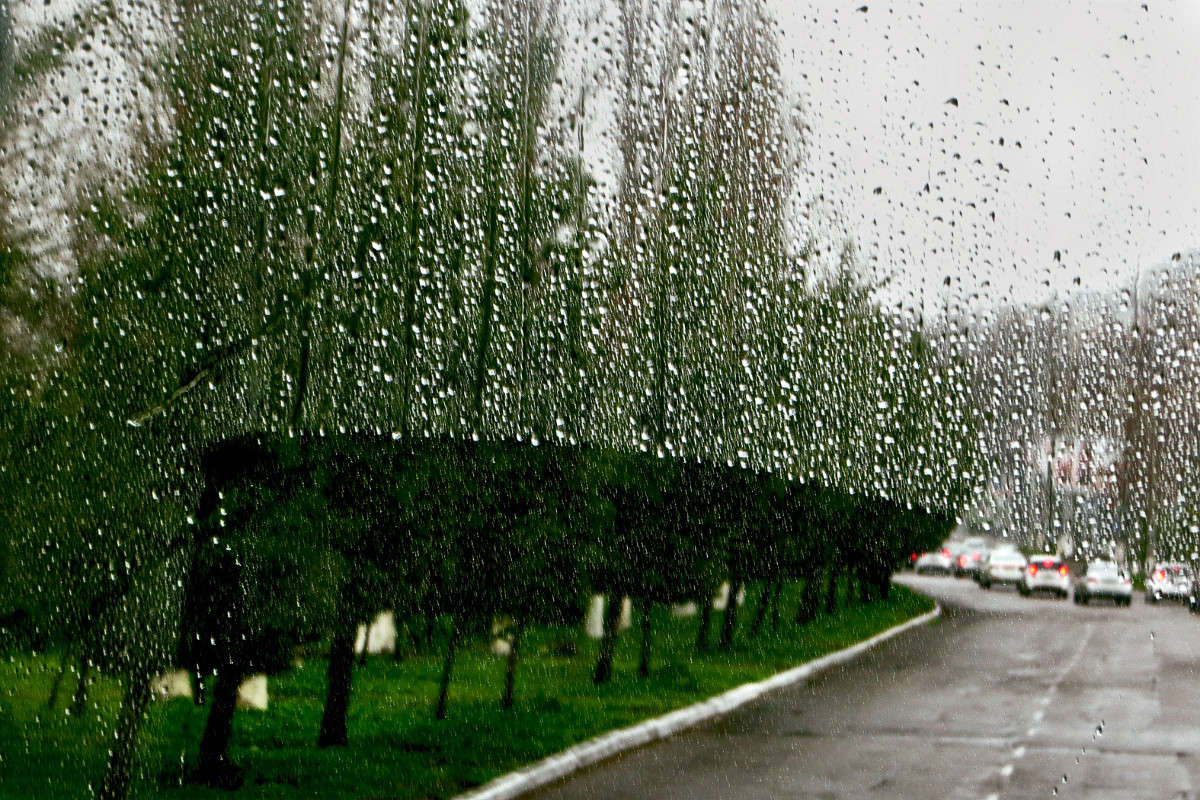 ��� ���� ����� ����� ������� �� PhotoGeek.ru #������ ��� ������� #��������� #����� ��������