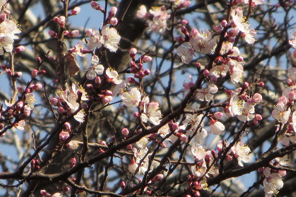 �� ������� ����� ����� ������� �� PhotoGeek.ru #������ ��� ������� #�����