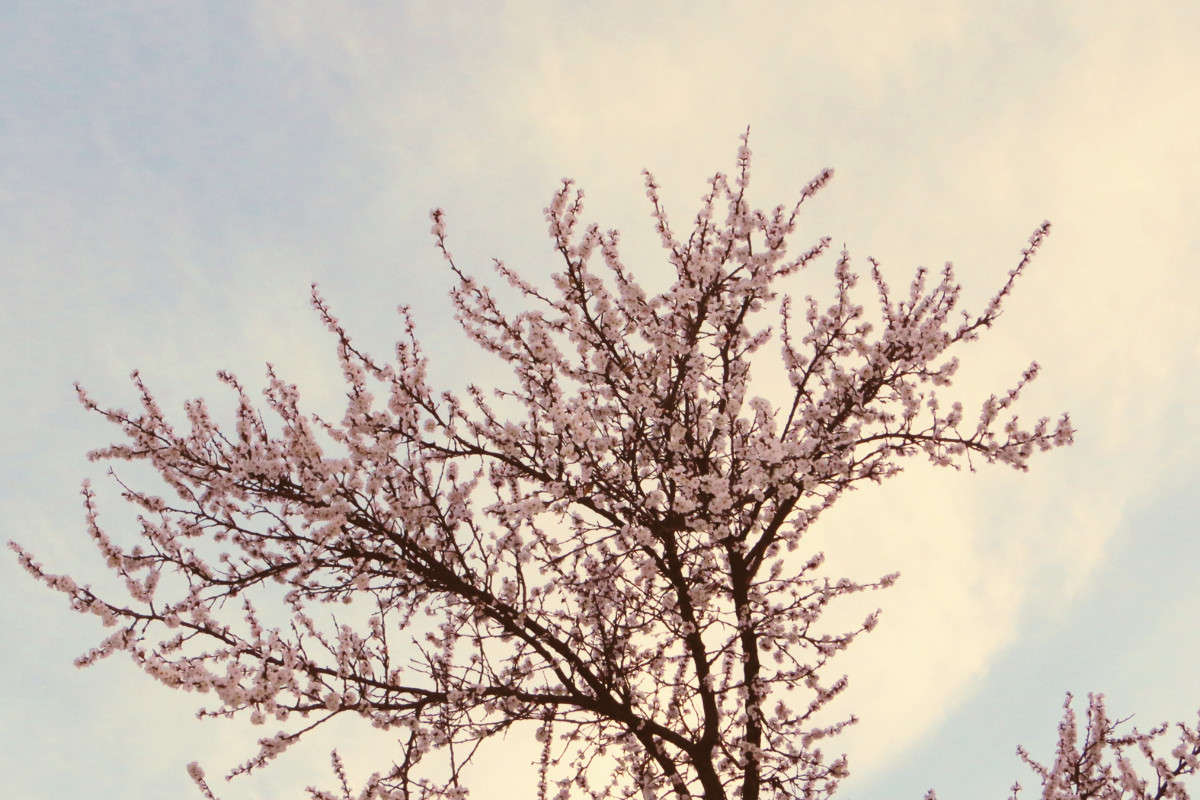 �� ������ ����� ����� ������� �� PhotoGeek.ru #������ ��� ������� #�����