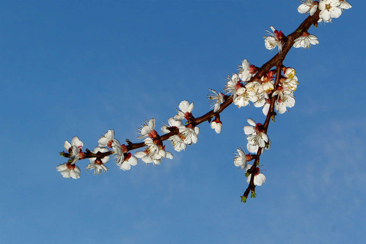 �����... ����� ����� ������� �� PhotoGeek.ru #������ ��� ������� #�����