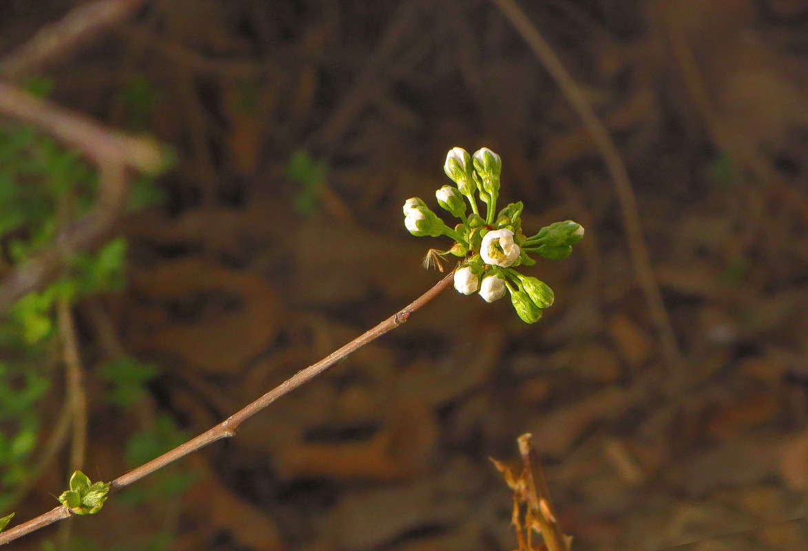 ���������� ���� -1 ����� ����� ������� �� PhotoGeek.ru #������ ��� �������