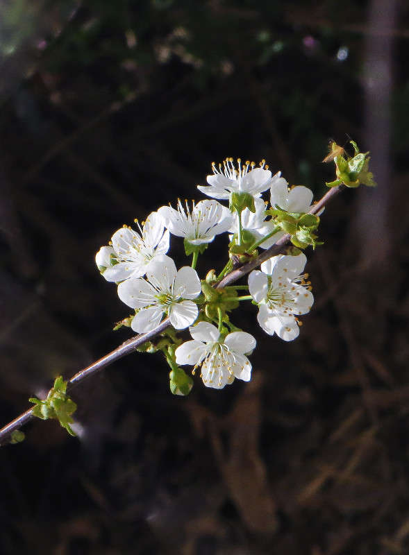 ���������� ���� -3 ����� ����� ������� �� PhotoGeek.ru #������ ��� �������