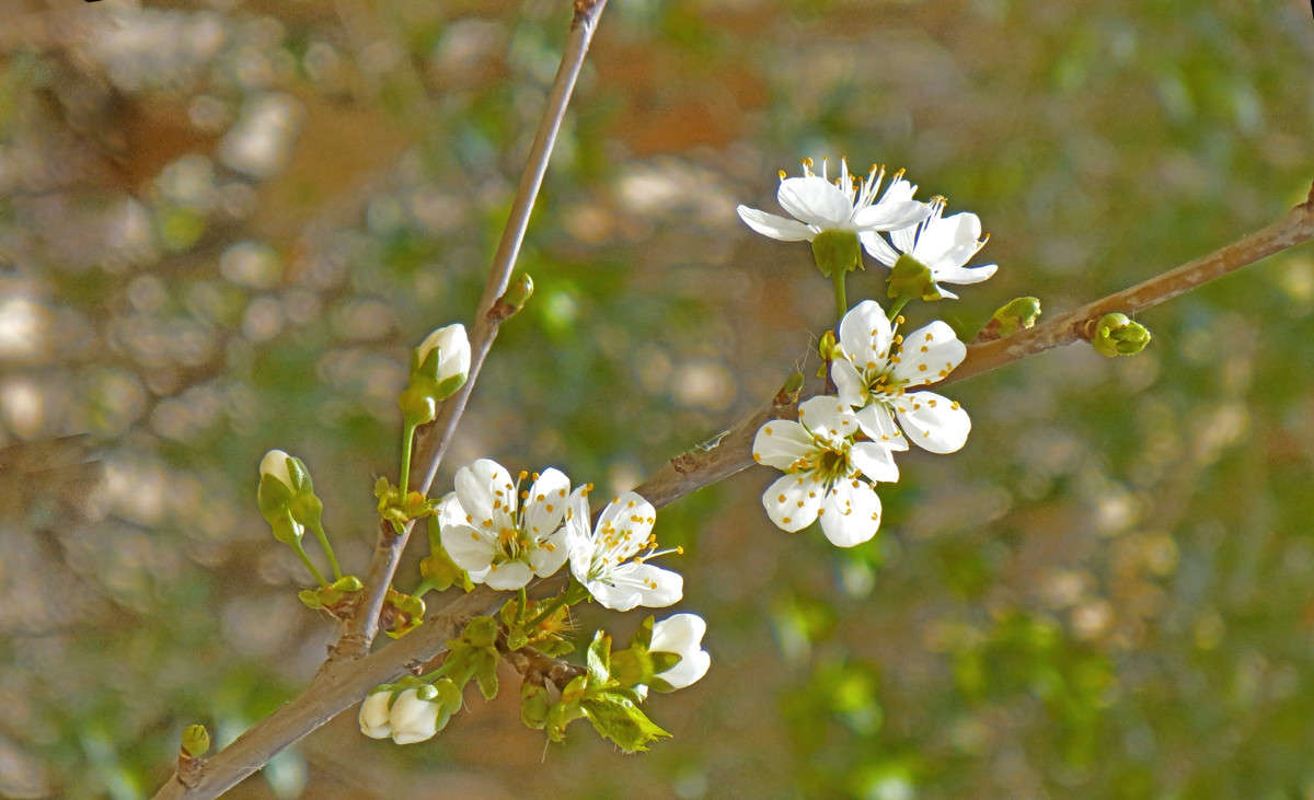 ���������� ���� -4 ����� ����� ������� �� PhotoGeek.ru #������ ��� ������� #�����