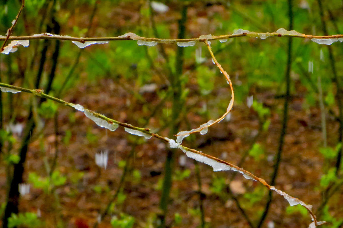 �������� ���� ����� ����� ������� �� PhotoGeek.ru #������ ��� ������� #�����