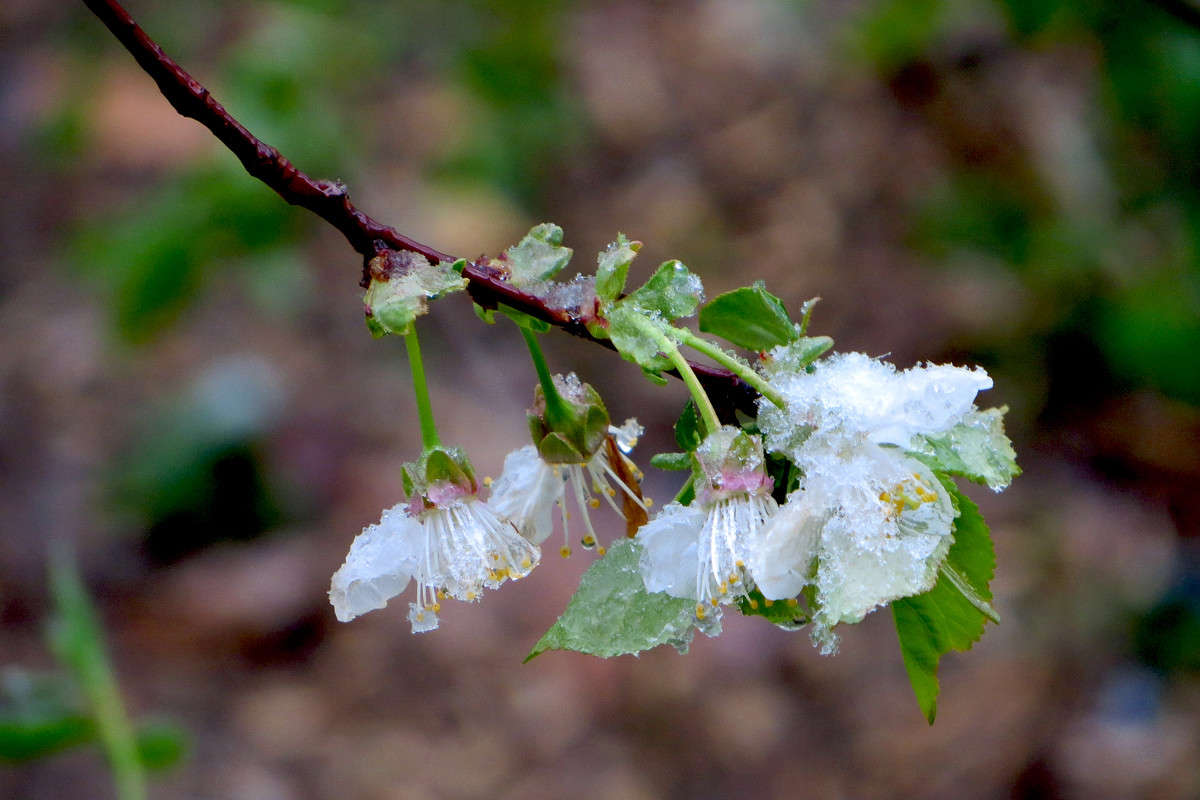 ������� ����� ����� ����� ������� �� PhotoGeek.ru #������ ��� ������� #������